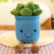 Blue Succulent (Pack of 2)