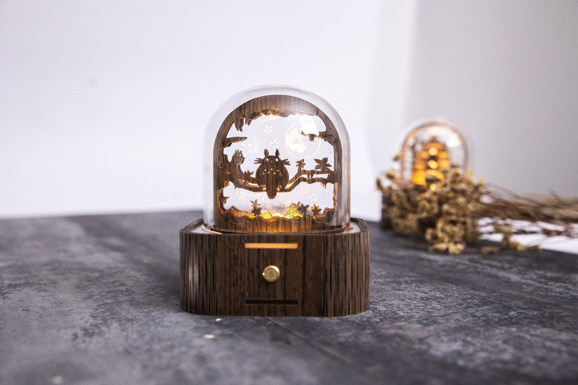 Engraved Hogwarts Express music box night light top view