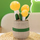 Yellow Mushroom (Pack of 2)