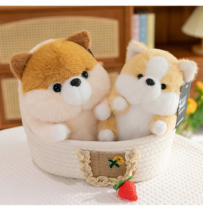 soft plush corgi