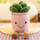 Pink Succulent (Pack of 2)